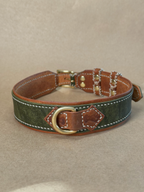 Collare per Cani Verde Olivo in Pelle Pieno Fiore