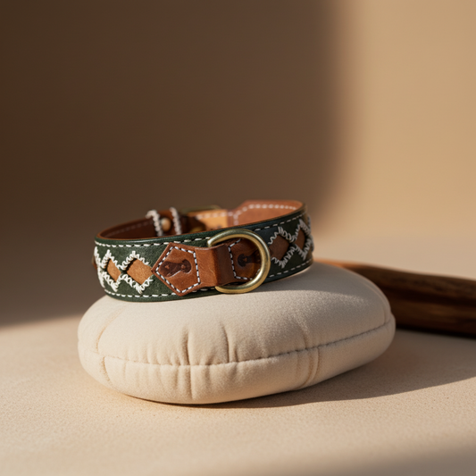 Collare per Cani Verde Olivo in Pelle Pieno Fiore e Ottone – Fatto a Mano in Italia